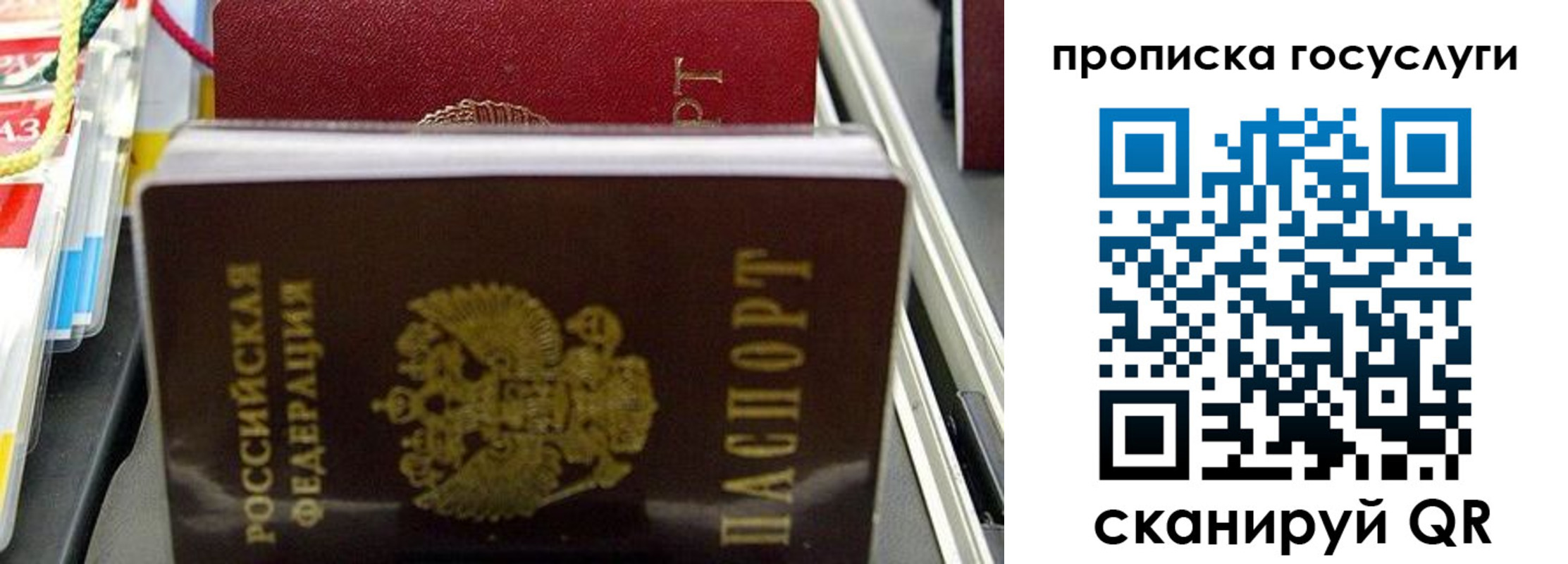 где прописаться в Белой Холунице